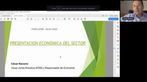 Presentación virtual de César Navarro durante el foro AFEB 2020.