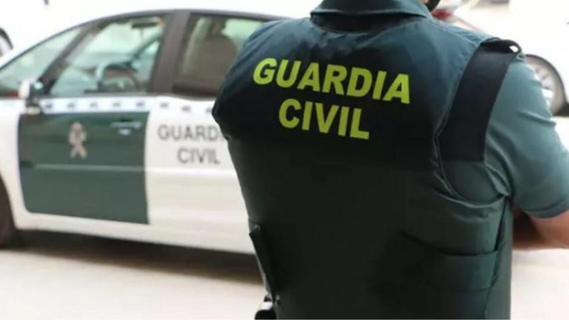Detenido por la Guardia Civil el presunto individuo que robó en una ferretería de Argamasilla de Calatrava.